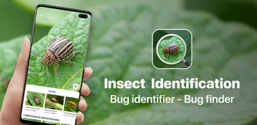 Insect identification: Bug identifier - Bug finder