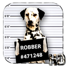 Cool Dog APUS Live Wallpaper APK