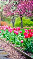 Beautiful Spring Garden APUS Live Wallpaper スクリーンショット 3