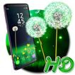 Beautiful Dandelion APUS Live 
