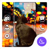 Black Cat APUS Launcher theme biểu tượng