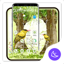 Oil Painting Garden APUS Launc APK