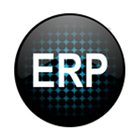 Experience ERP icône