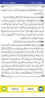 Islam K Bunyadi Aqaid screenshot 1
