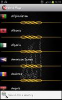 World Flags الملصق