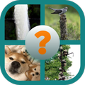 Guess The Animals