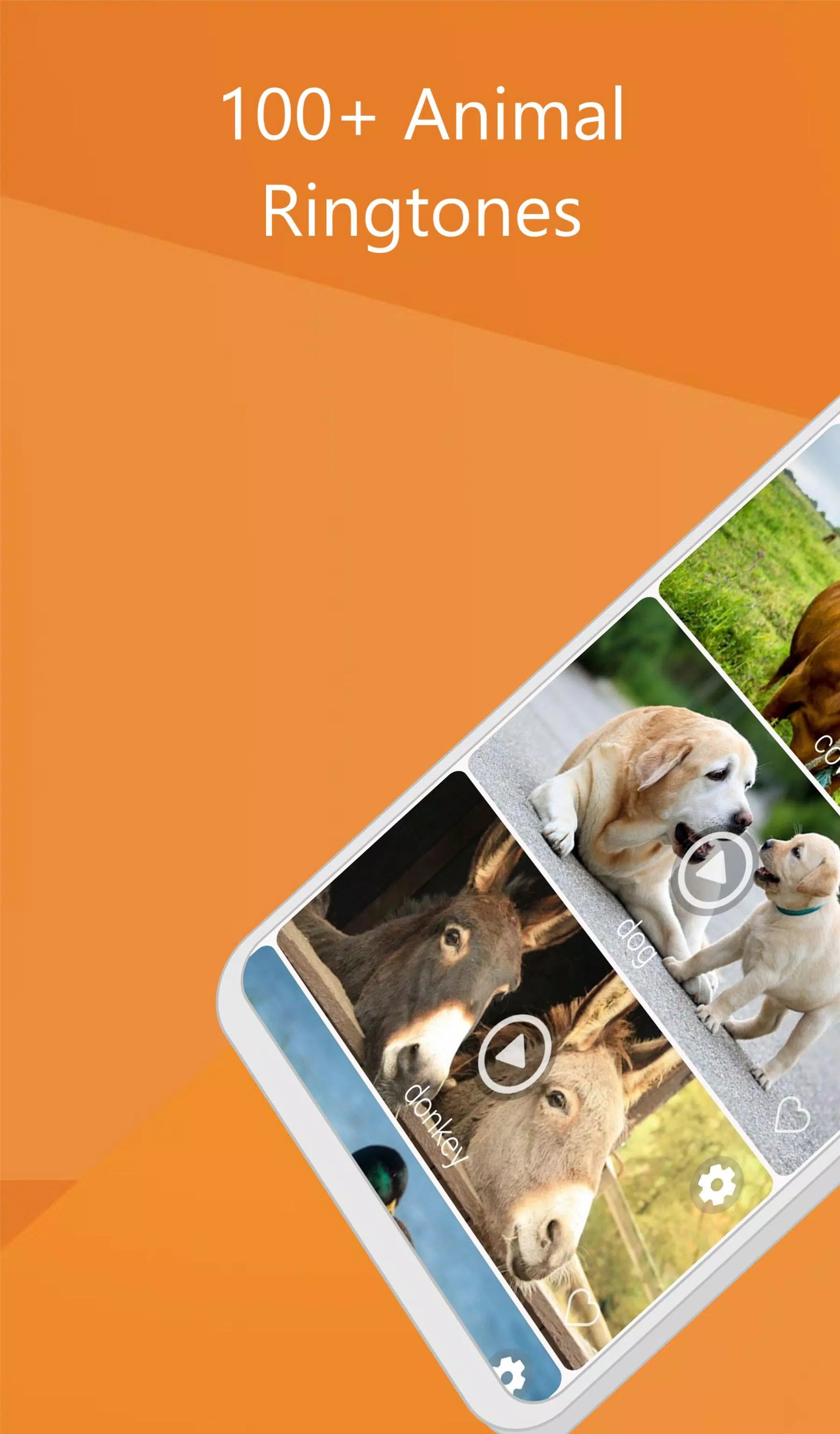 Animal Sounds - free Ringtones APK for Android Download Animal Sounds - free Ringtones APK for Android Download