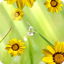 Flowers Live Wallpaper frei APK