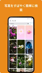 Unsplash - 壁紙 アプリダウンロード