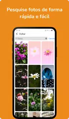 Baixar Unsplash - Wallpapers APK