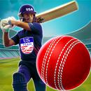Real World T20 Cricket Games APK