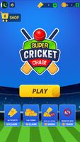 Super Chase Cricket Challenge постер