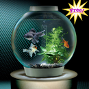 Aquarium Dekorating aplikacja