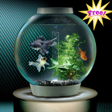 Aquarium Dekorating 图标