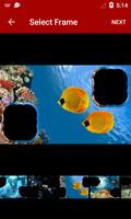 Aquarium Dual Photo Frames capture d'écran 1