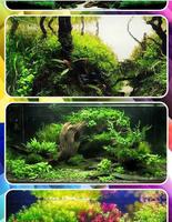 aquarium decorations পোস্টার