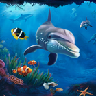 Live Fish Aquarium Wallpapers icon