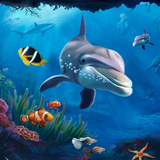 Aquarienfische Live Wallpaper