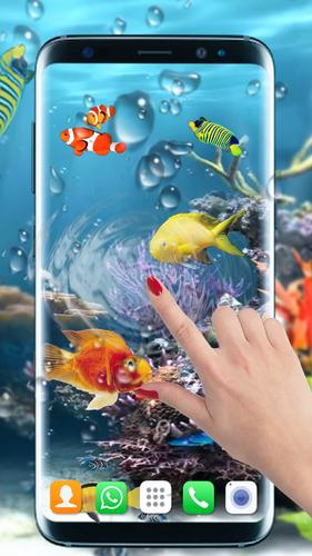 android icin akvaryum baliklari canli
