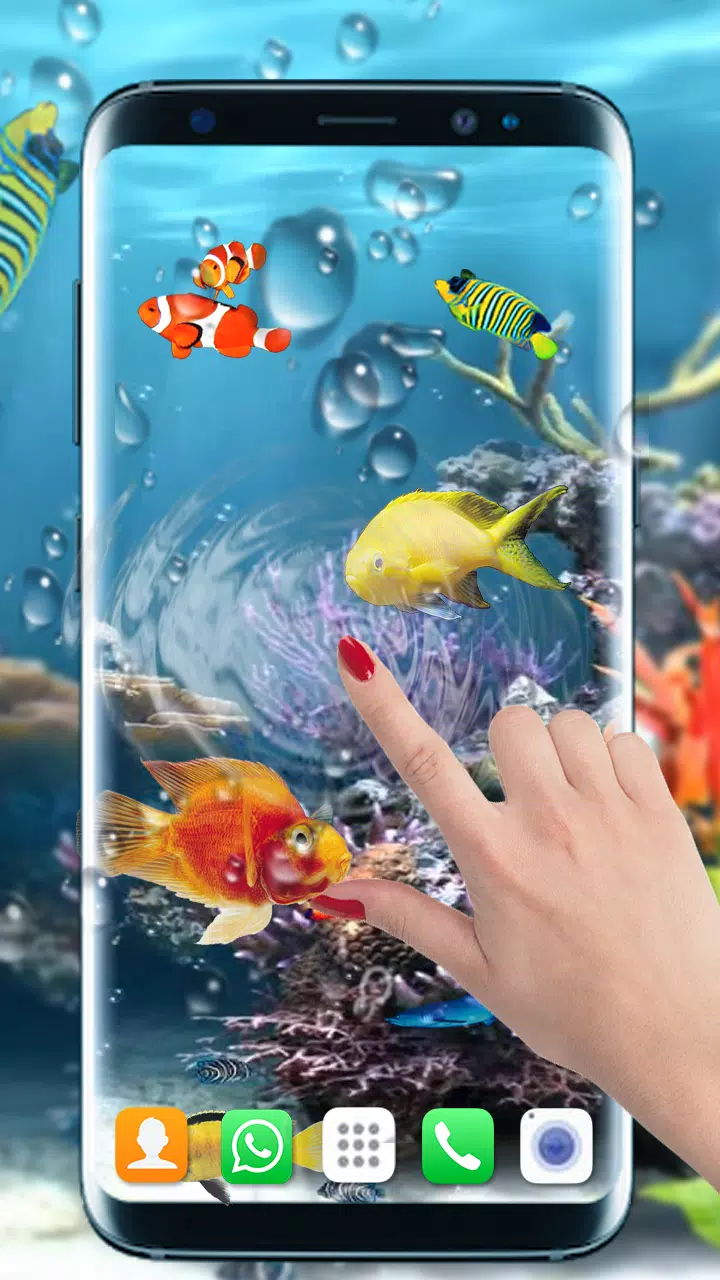 Entre collar suspicaz fondos de escritorio de peces en movimiento gratis Panorama Alérgico Alegre Entre collar suspicaz fondos de escritorio de peces en movimiento gratis Panorama Alérgico Alegre