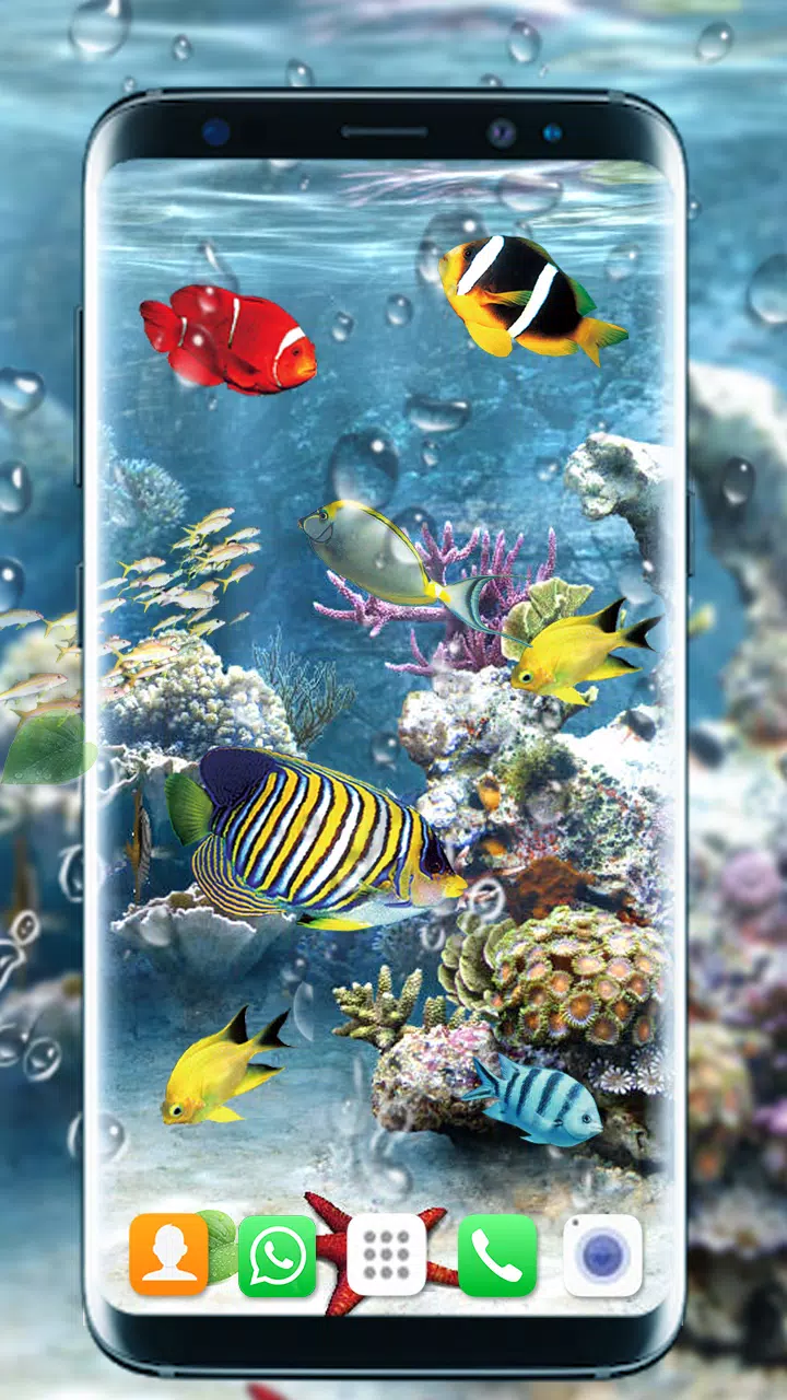 Aquarium Fish Live Wallpaper 3D:Fish Background HD APK for Android Download