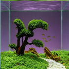 nouvelle conception d'aquarium icône