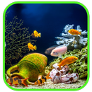 Beautiful Aquarium Wallpaper aplikacja