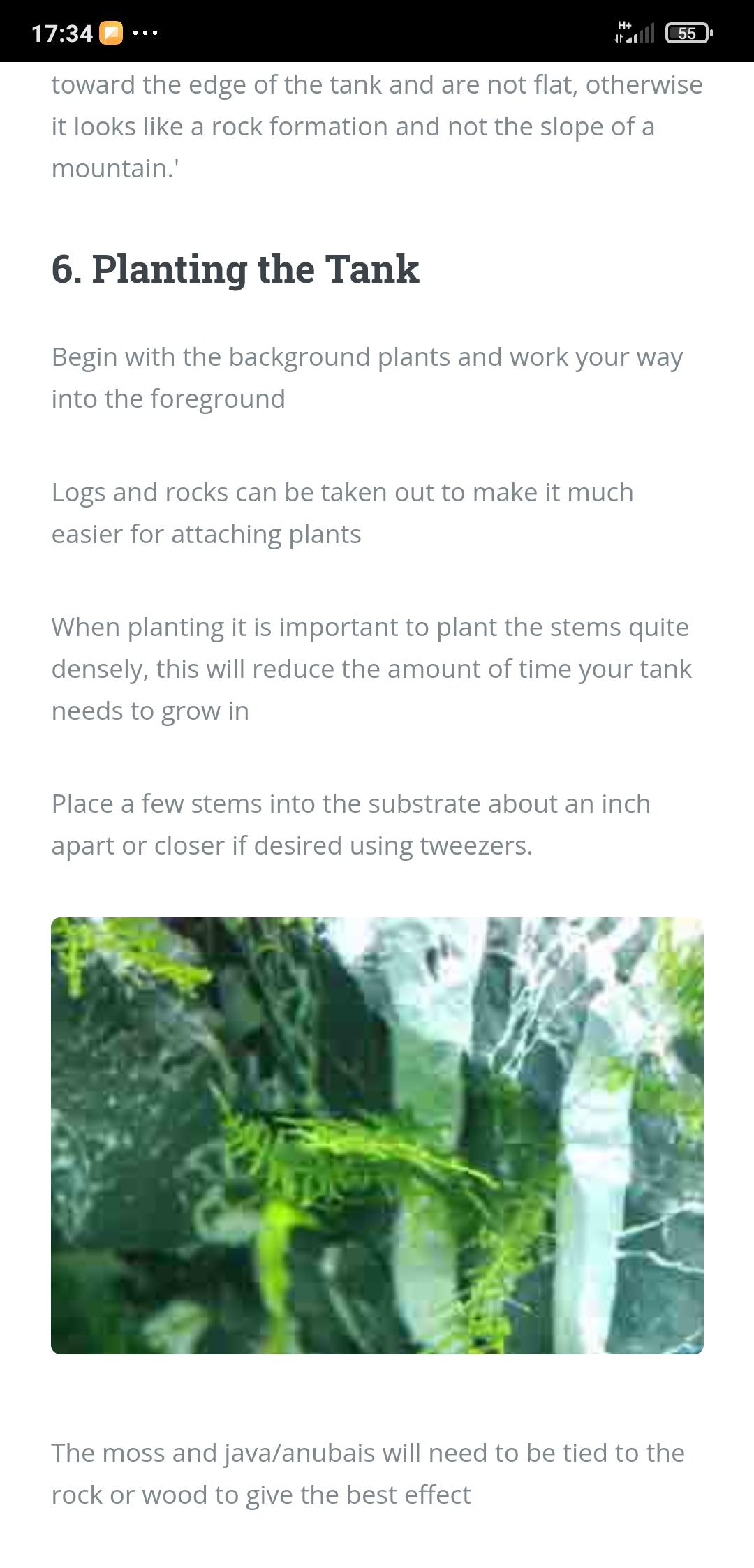 Aquascape Tutorial & Care APK for Android Download