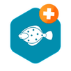 Aquasafe-Jeju APK