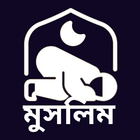 Islam biểu tượng
