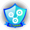 Tc tunnel