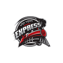 EXPRES VIP VPN APK