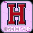 HABIBI VPN アイコン