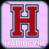آیکون‌ HABIBI VPN