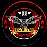 IGOL VIP - VPN ikon