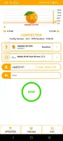 ORANGE VIP VPN captura de pantalla 4