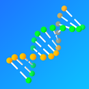Evolution Runner APK