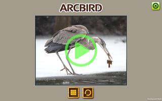 ARCBIRD - ARC BIRD AR screenshot 3