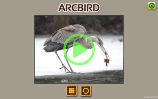 ARCBIRD - ARC BIRD AR 截图 3