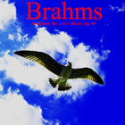Brahms Symphony 1 in C Minor icon