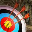 ”Castle Archery Master Action