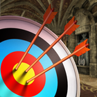 Castle Archery Master icône