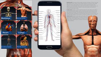 Human Anatomy And Physiology capture d'écran 1