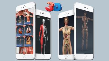 Human Anatomy And Physiology capture d'écran 3