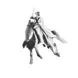 من شعر الفروسية