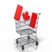 Icona Canada Shopping