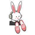 ArcticShoes