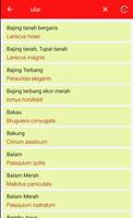 Nama Latin Tumbuhan dan Hewan Offline 截圖 1