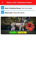 Nama Latin Tumbuhan dan Hewan Offline 截圖 3