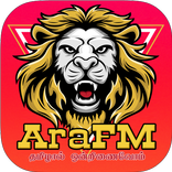 AraFM 4D